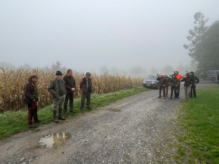 Brauchbarkeitsprüfung für Jagdhunde