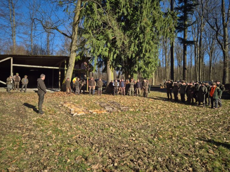 Schutzwoche für Niederwild, Bodenbrüter und Reptilien