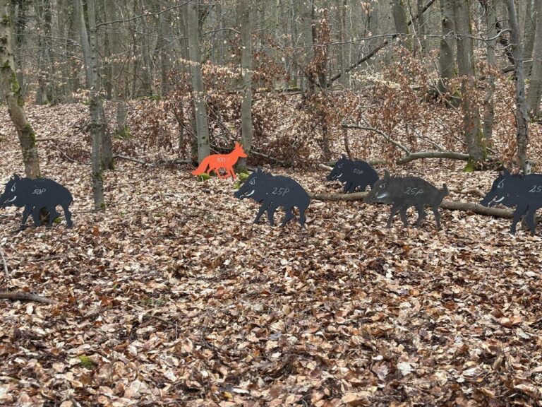 Wald, Tiere, Action – Spannende Ferienspiele im Butzbacher Wald